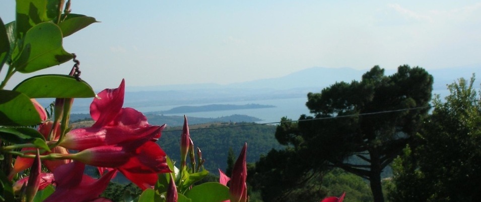 Ritiro di ashtanga vinyasa yoga dal 3 al 6 aprile 2015