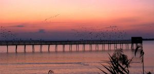 Oasi_La_Valle_tramonto_sul_Lago_Trasimeno