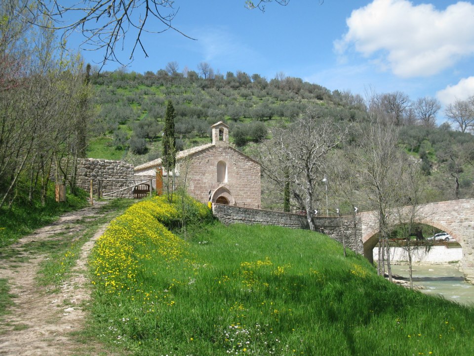 UN RESPIRO AD OGNI PASSO, meditazione al bosco di San Francesco ad Assisi