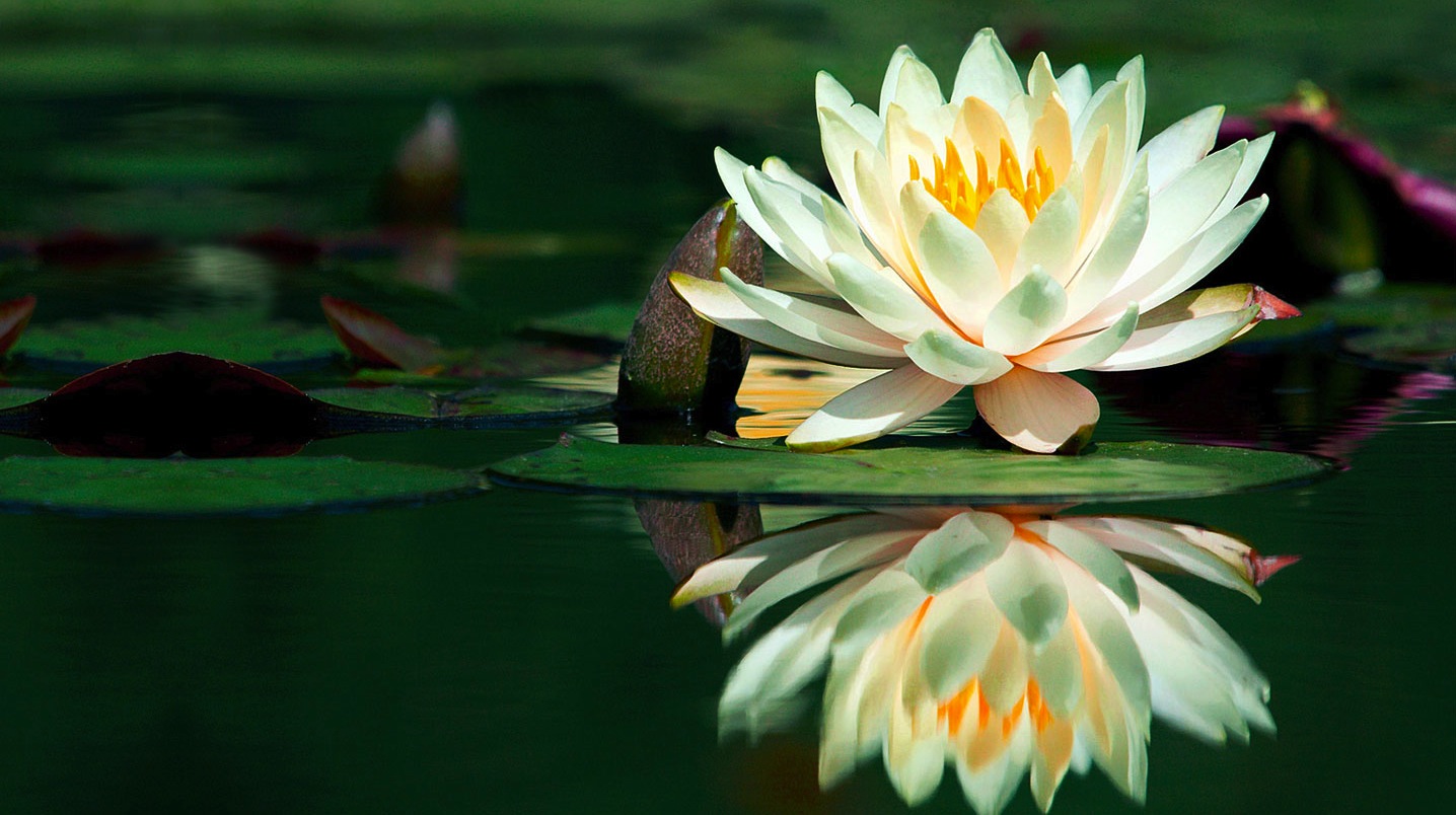 IL DONO PIU' PREZIOSO incontro di meditazione