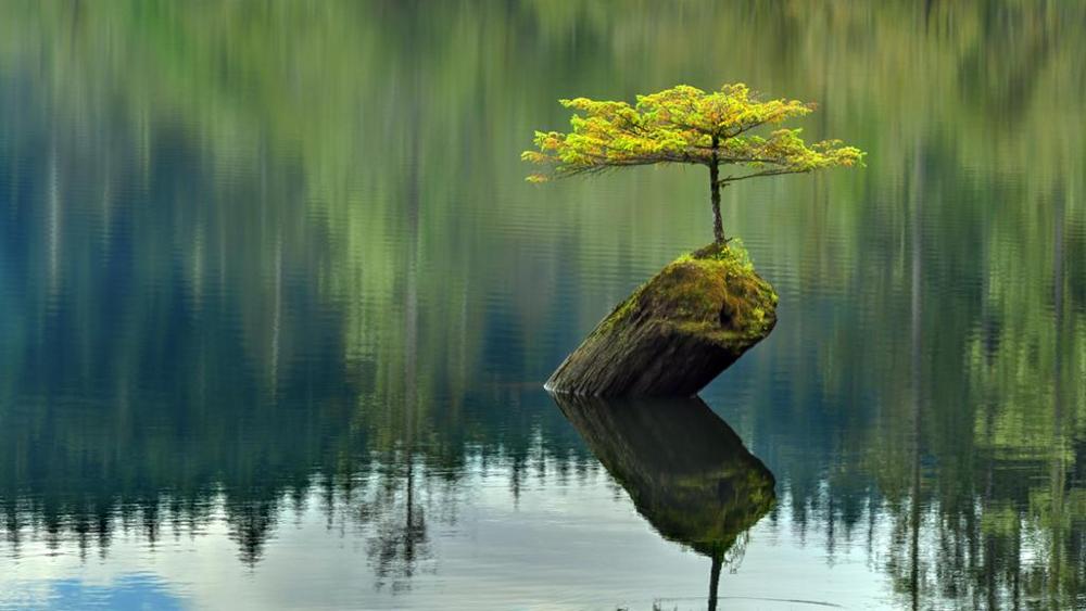 VERSO LA MEDITAZIONE