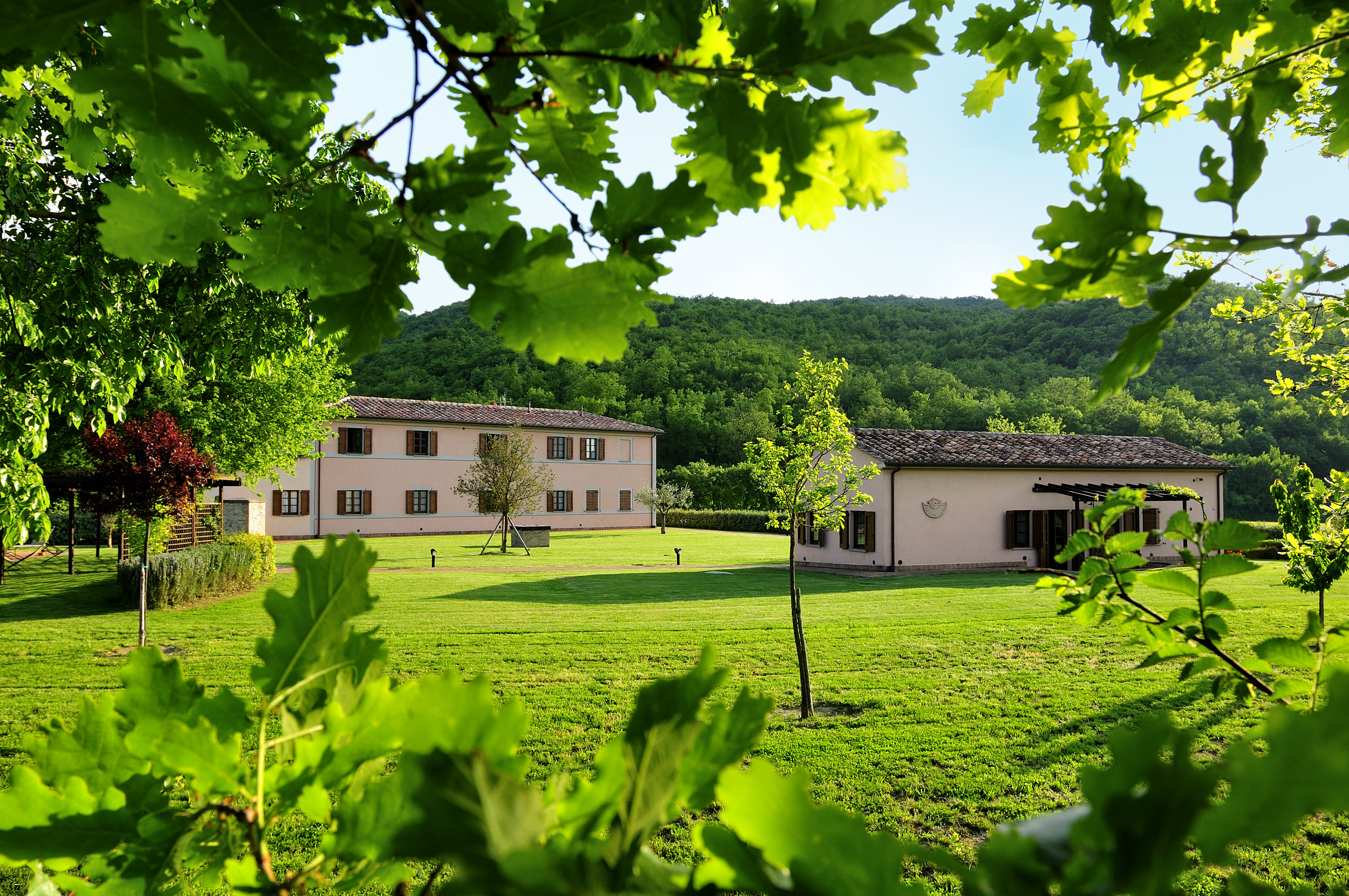 YOGA INSIEME IL PRIMO MAGGIO