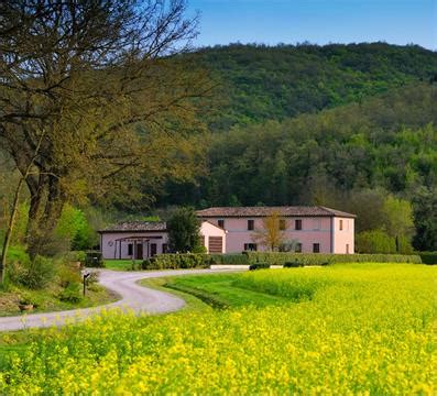 YOGA INSIEME ALL'APERTO