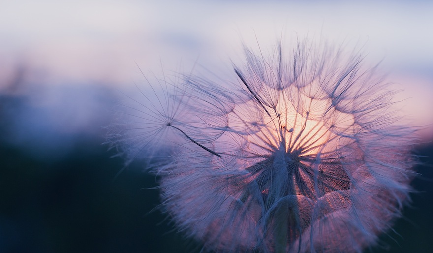 PRANAYAMA E MEDITAZIONE