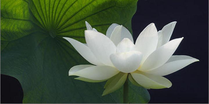 IN ASCOLTO VERSO LA MEDITAZIONE - Quinto incontro