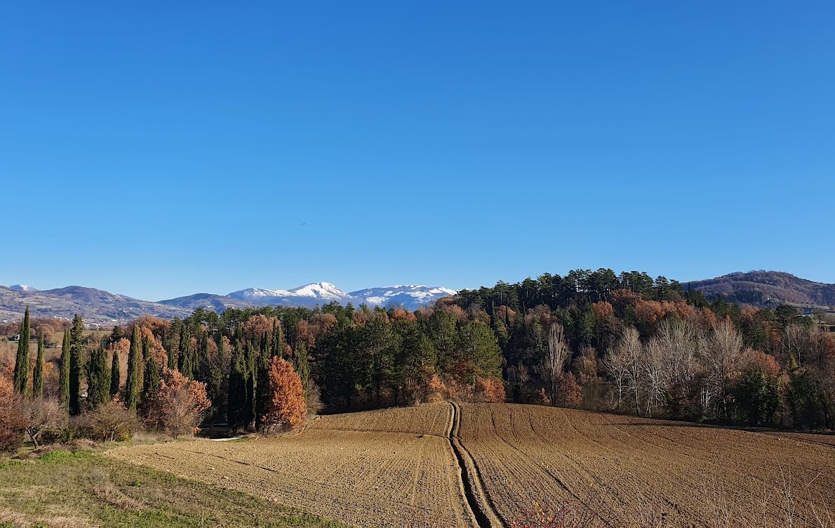 DOMENICA DI YOGA INSIEME, BELLEZZA E NATURA