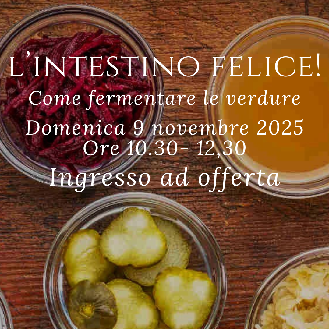 L'INTESTINO FELICE- CORSO  PRATICO SULLA FERMENTAZIONE DELLE VERDURE